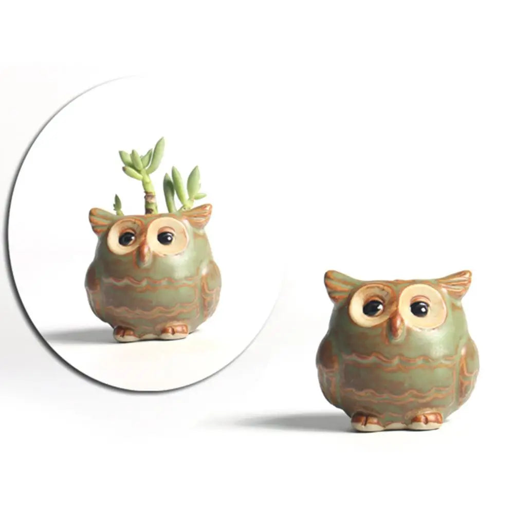 Losowa Doniczka Sowy Ceramiczne