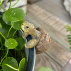 Figurka Żółw Ozdobna na Doniczkę - Wiszący Przyjaciel