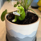 Figurka Żaba Czytelnik