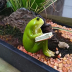 Figurka Żaba Czytelnik