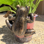 Figurka Żaba Wspinacz - Ozdoba na Doniczkę