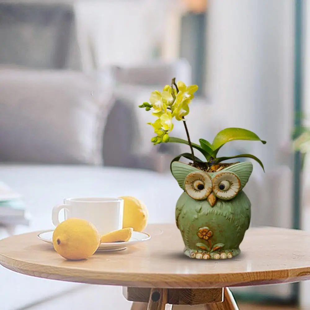 Losowa Doniczka Sowy Ceramiczne