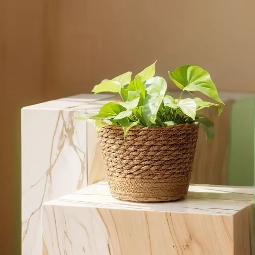 Zestaw Plecionych Koszy na Doniczki Boho