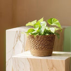 Zestaw Plecionych Koszy na Doniczki Boho