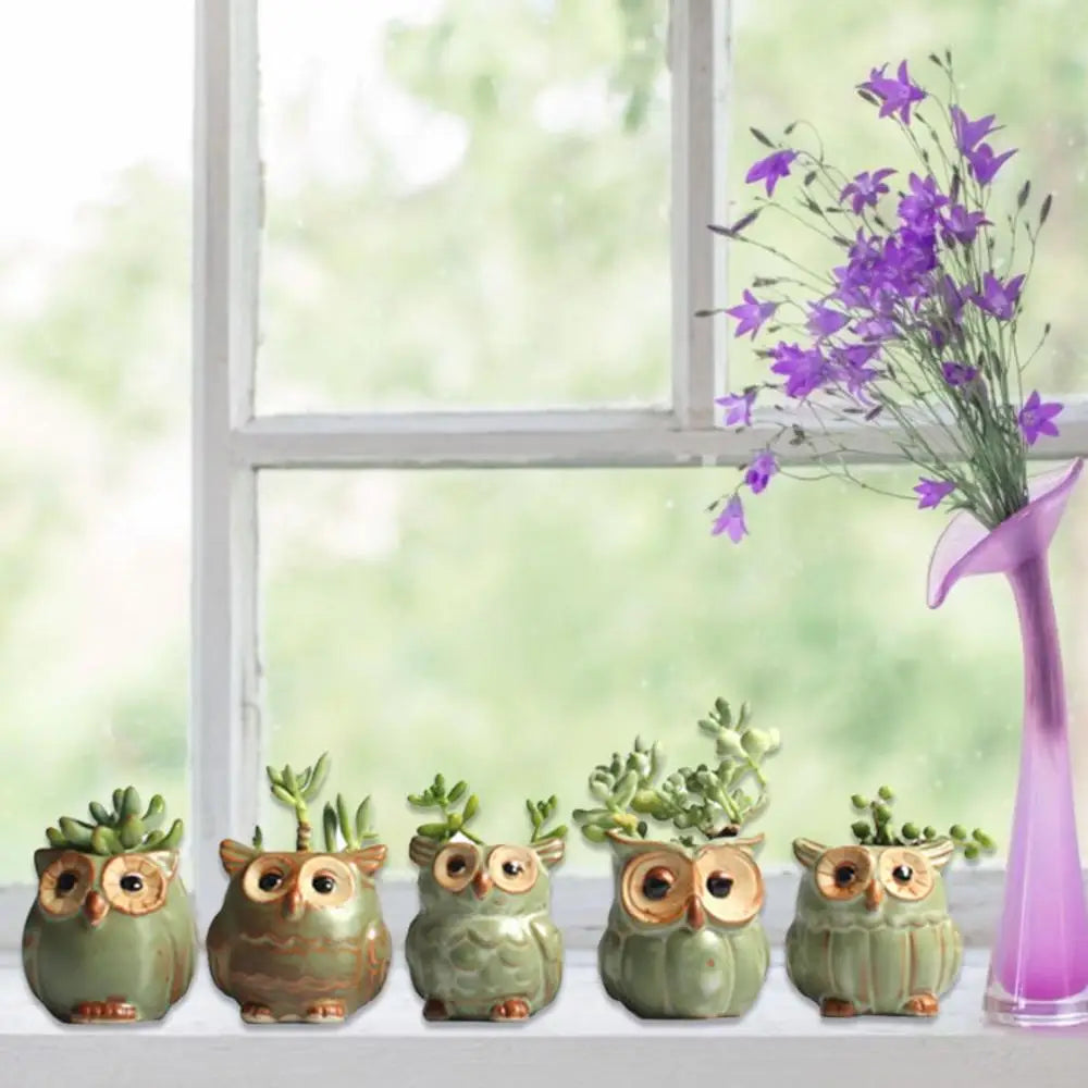Losowa Doniczka Sowy Ceramiczne