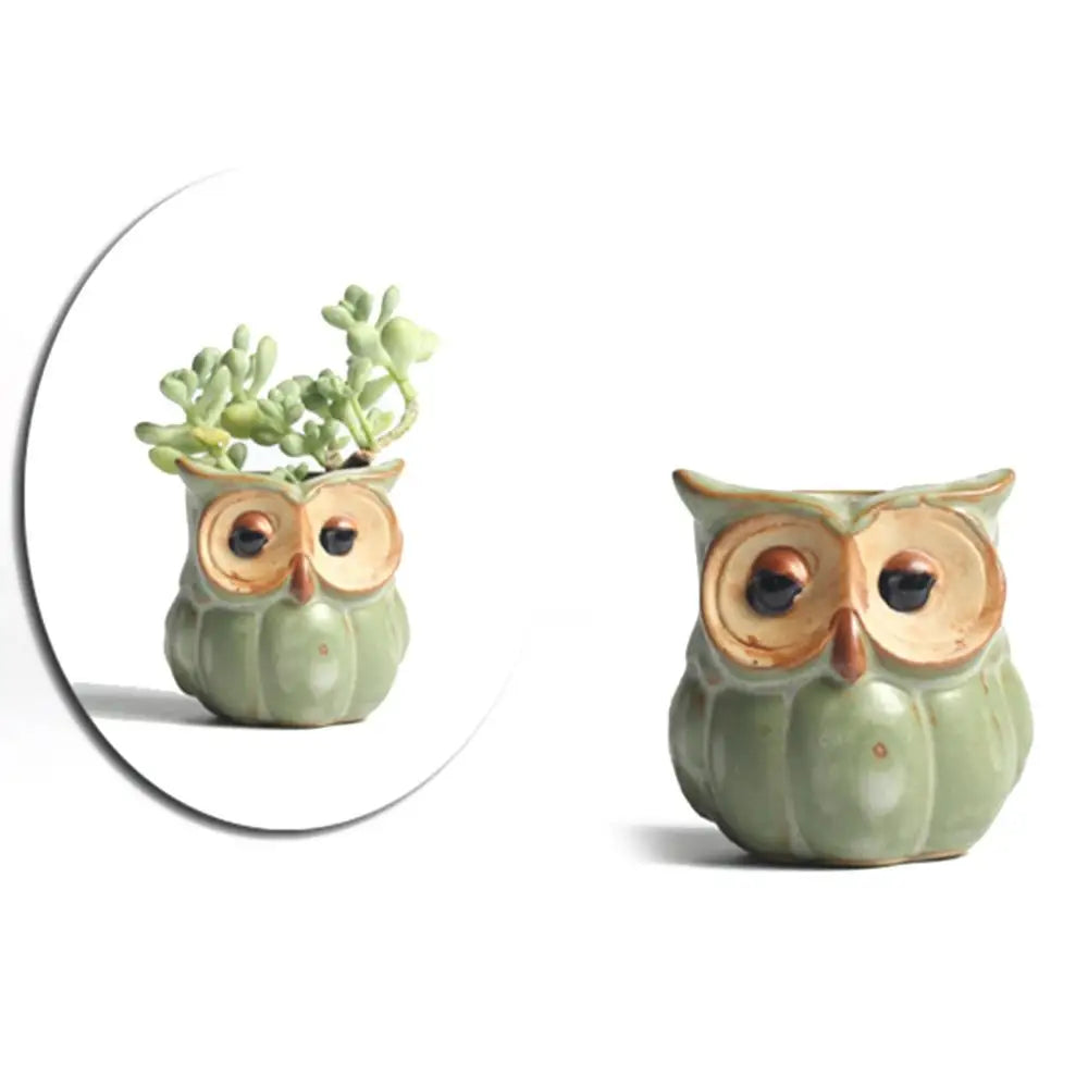 Losowa Doniczka Sowy Ceramiczne