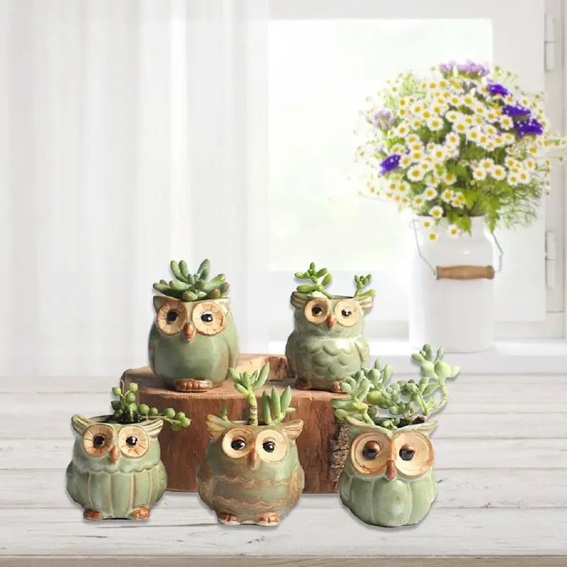 Losowa Doniczka Sowy Ceramiczne