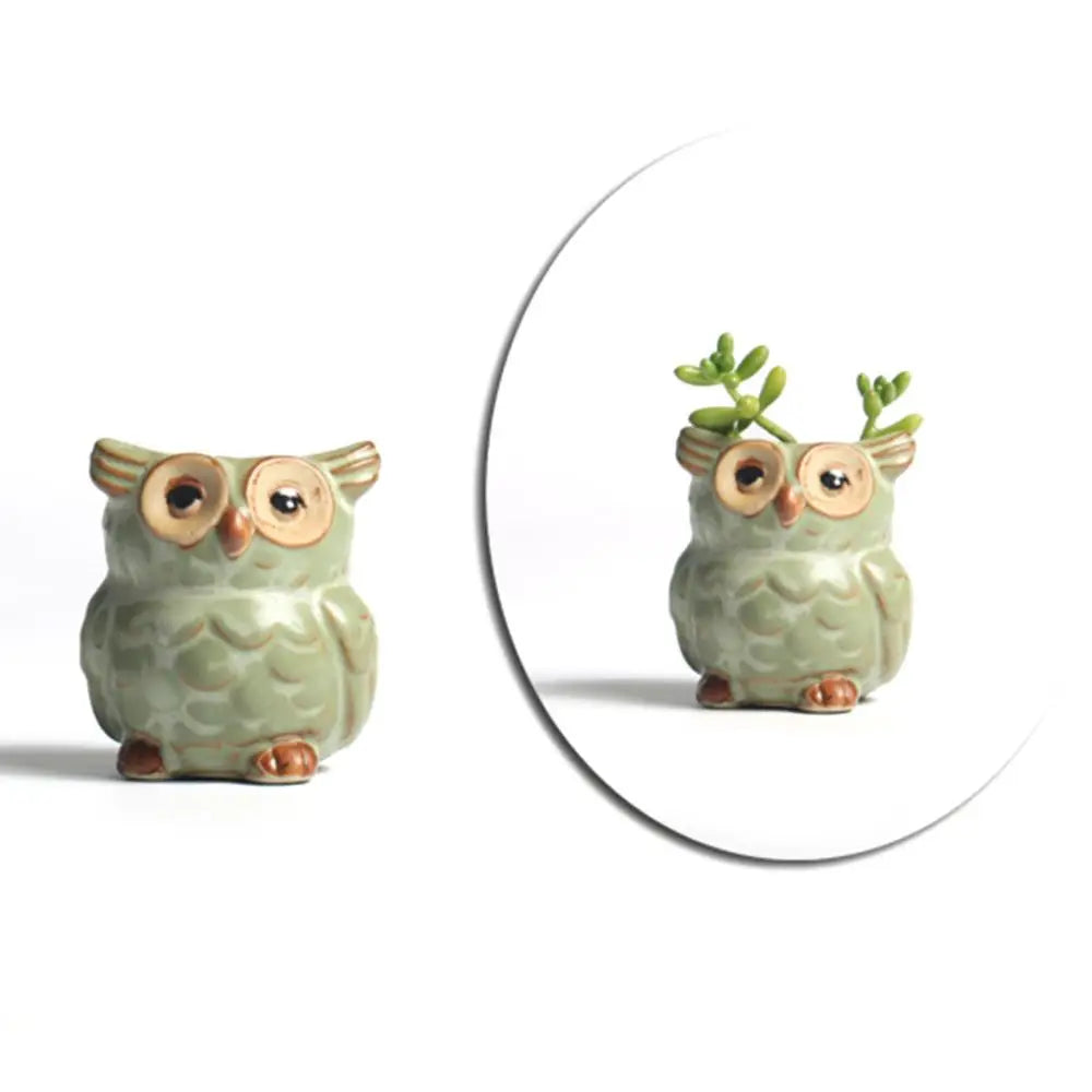 Losowa Doniczka Sowy Ceramiczne