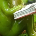 Figurka Żaba Czytelnik