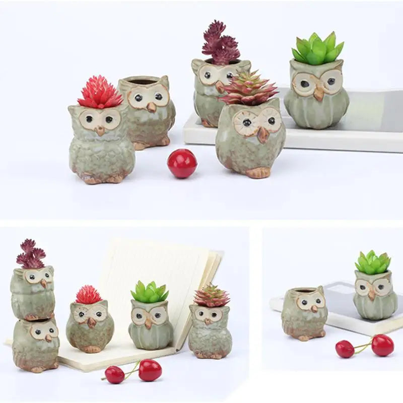 Losowa Doniczka Sowy Ceramiczne