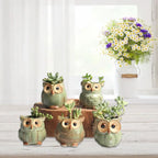 Losowa Doniczka Sowy Ceramiczne