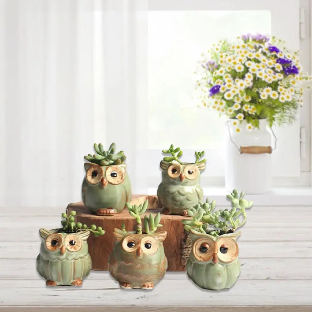 Losowa Doniczka Sowy Ceramiczne