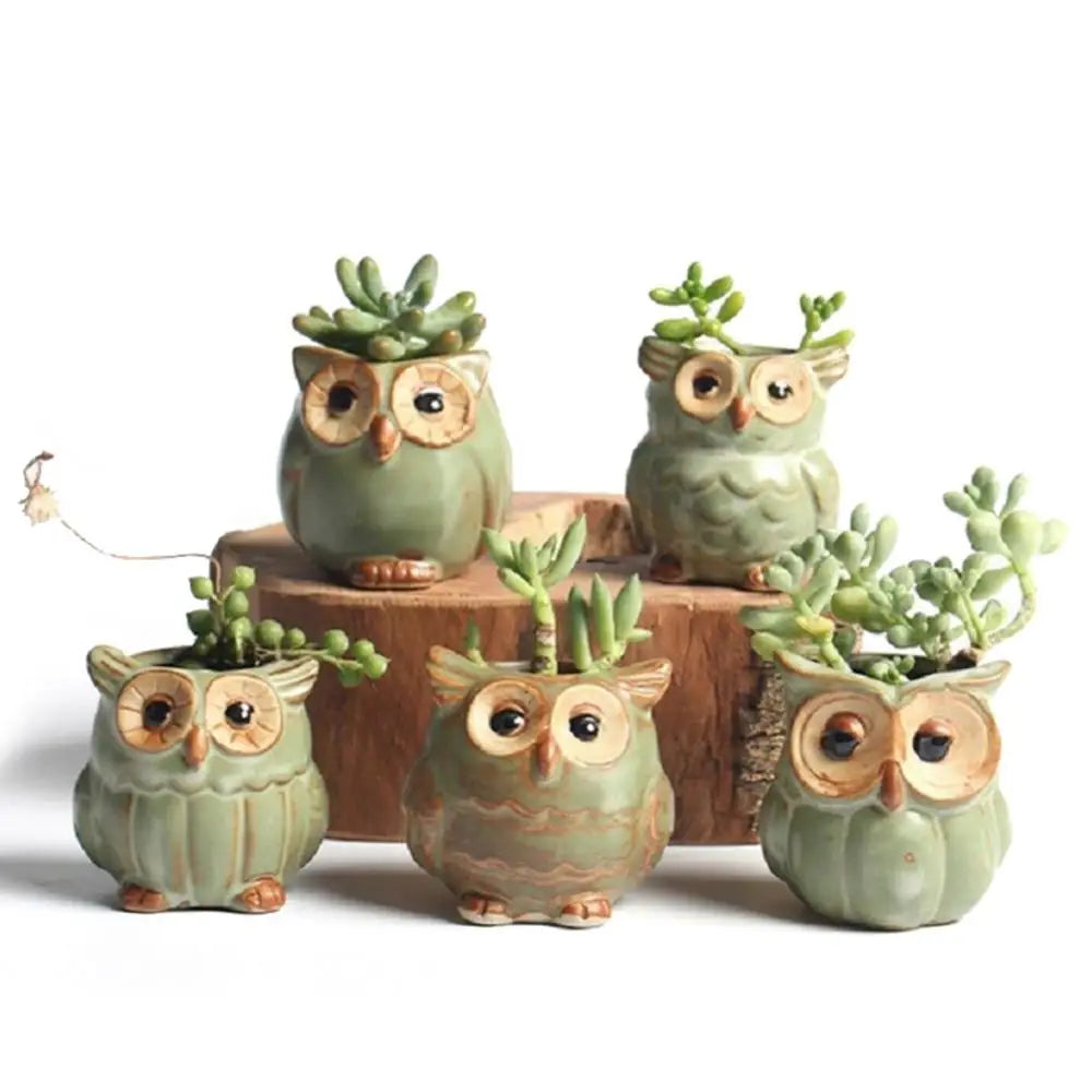Losowa Doniczka Sowy Ceramiczne