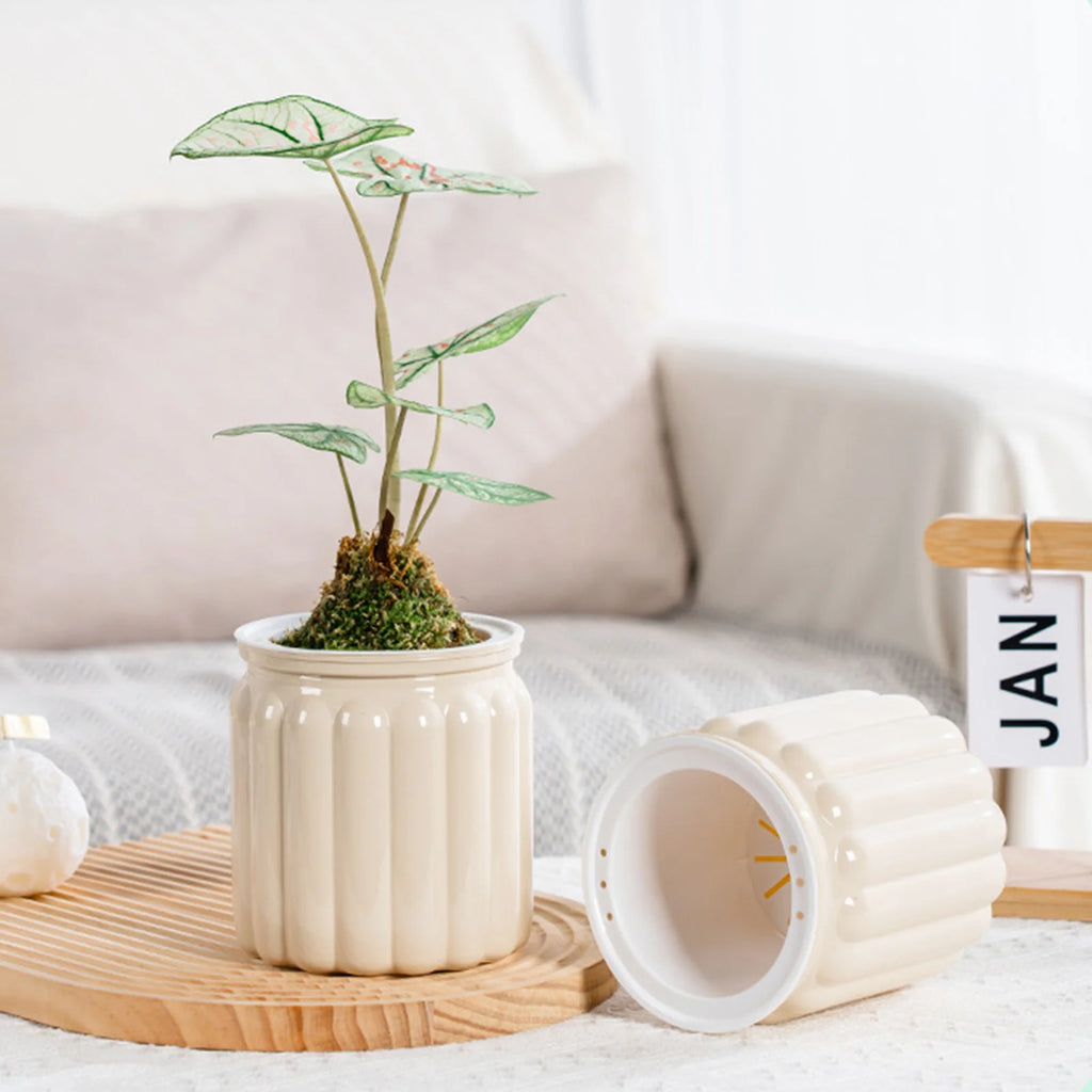 Szklany wazon w nowoczesnym stylu