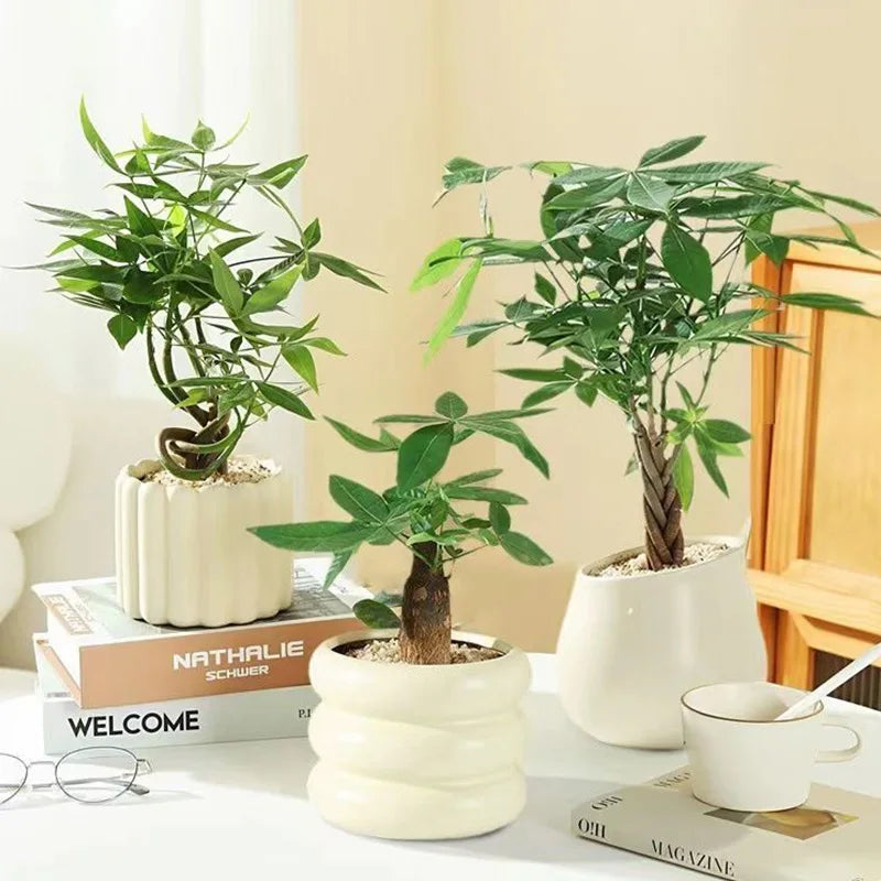 Zestaw Doniczek Ceramicznych Bąbelki i Paski - Minimalistyczna Kolekcja